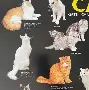 关于独家：Faker进球数超C罗巅峰的信息